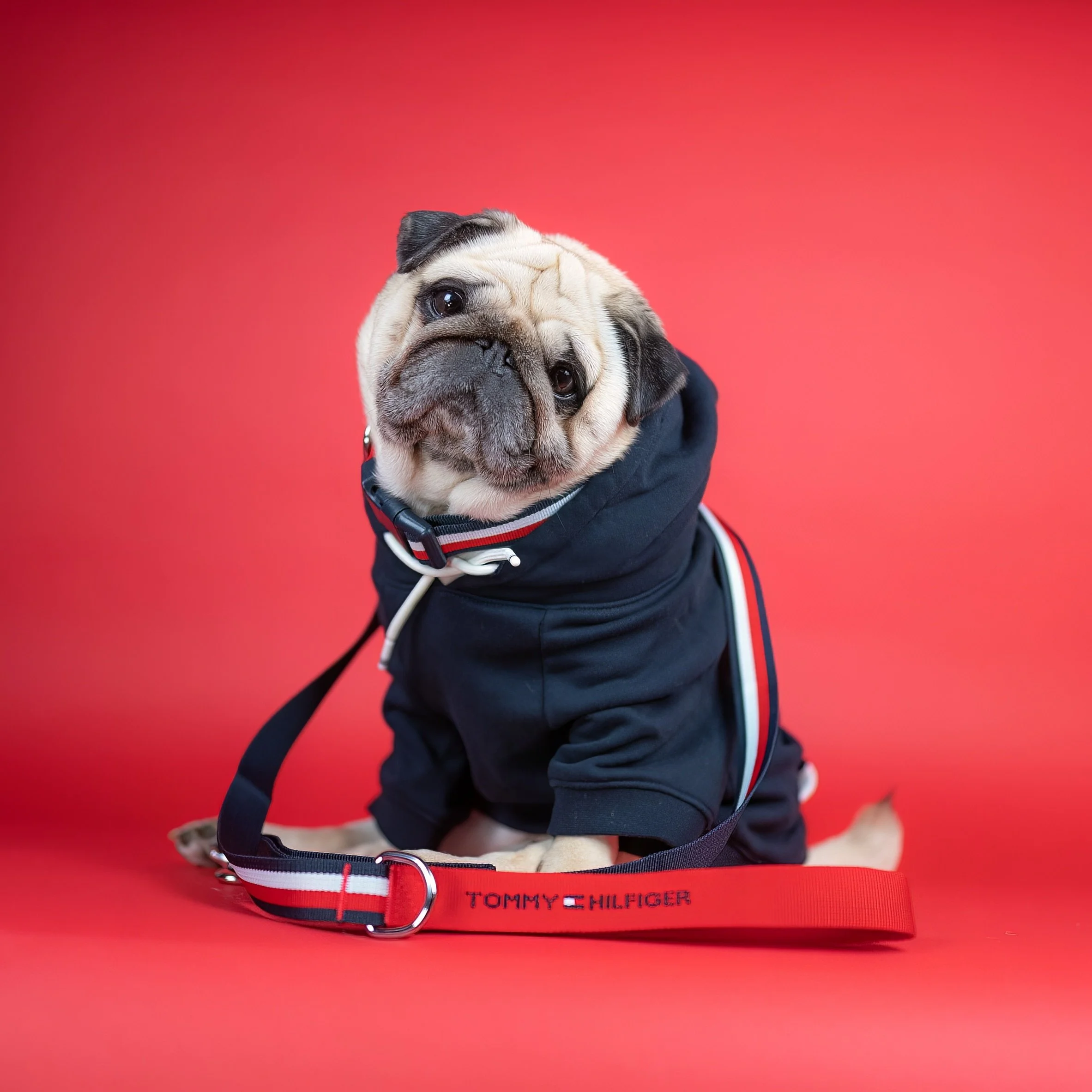 Tommy Hilfiger Enters Global License Agreement With Kanine To Launch Tommy Hilfiger Collection For Dogs SSI Life